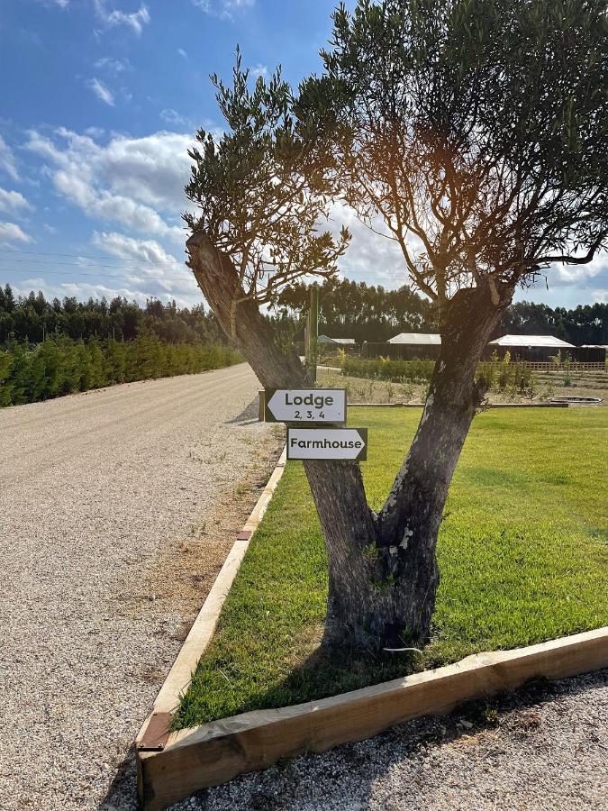 Kuanza Farmhouse And Lodge Zambujeira do Mar Exteriör bild